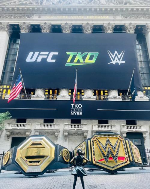 wwe和ufc的区别
