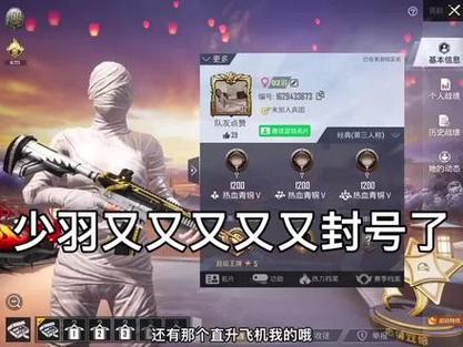 和平精英2字id