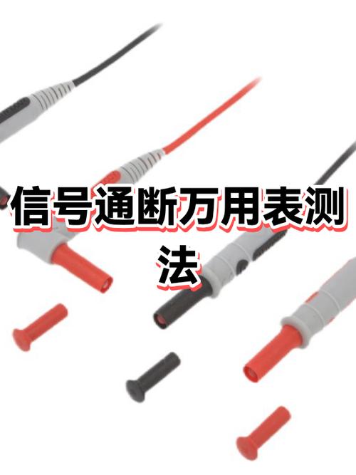 手机版signal官方下载