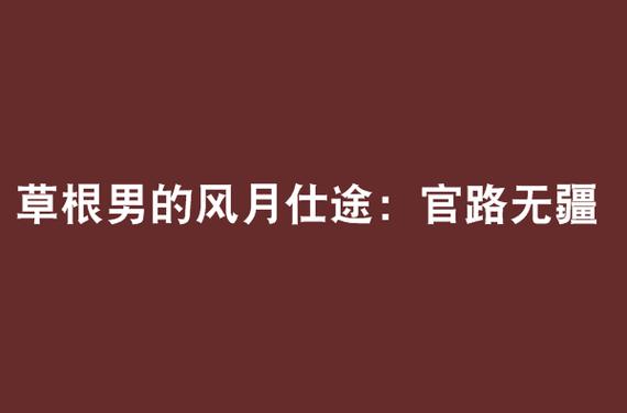 草根男的风月仕途:官路无疆下载
