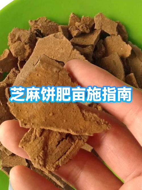 哺乳期可以吃芝麻饼吗