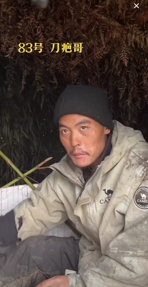 生存建设类单机游戏