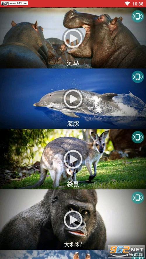 奇异社区4.1.0版本下载最新更新内容缩略图