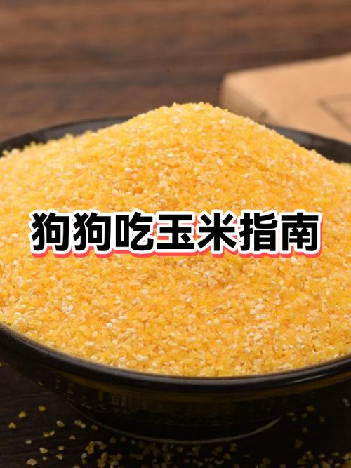 狗吃糯玉米风险有多高