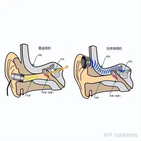 为什么气传导大于骨传导