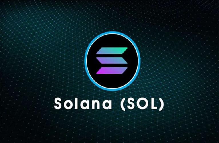 solanana的特色