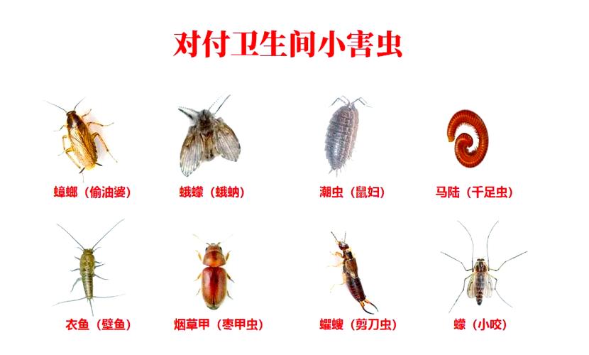 吃了宝塔糖多久拉虫子