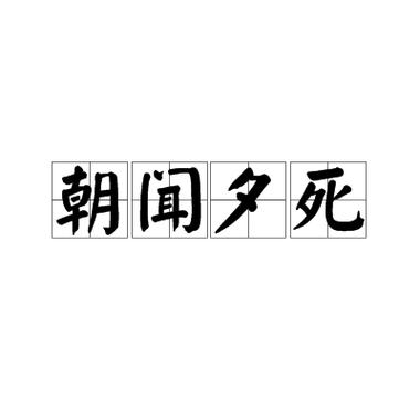 朝闻什么意思