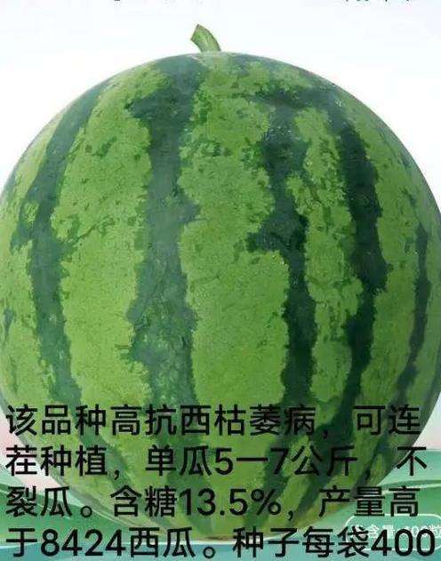 西瓜详细介绍
