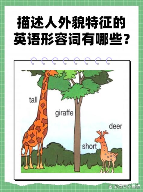 表示人物的第一阶段英文