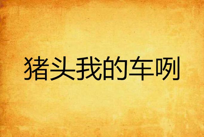 猪头我的车咧