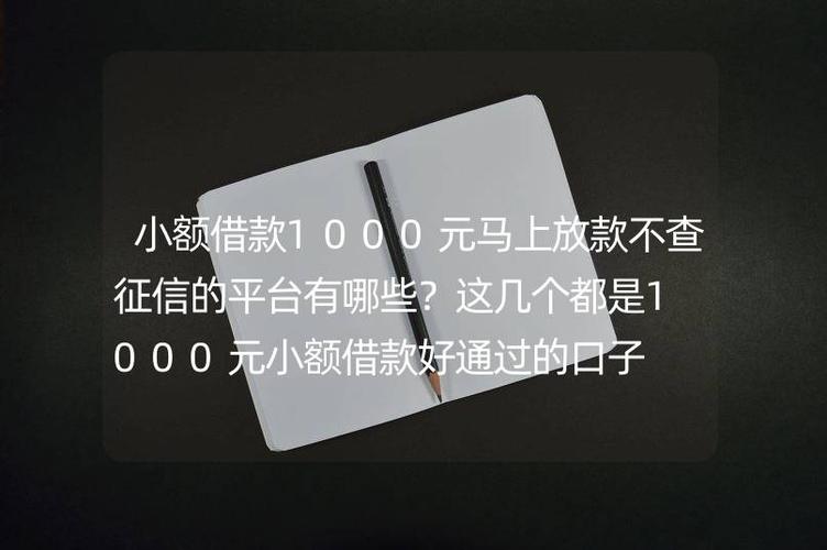 哪里能借1000块钱不看征信图标