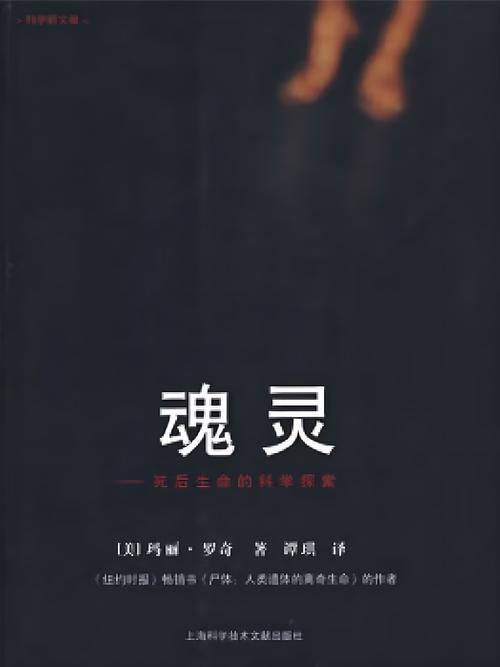 霍雨浩吸收的魂灵