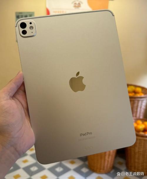ipad pro性价比缩略图