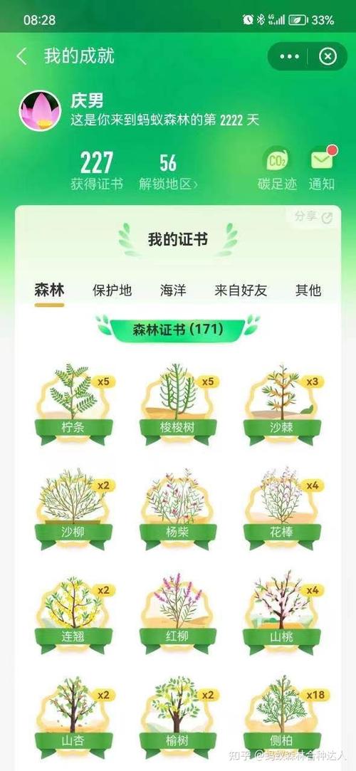 蚂蚁森林团队招人吗