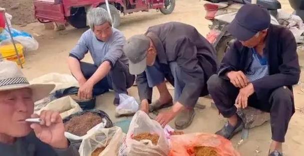 大集上卖烟叶犯法吗