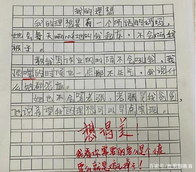 我的家100字左右大全