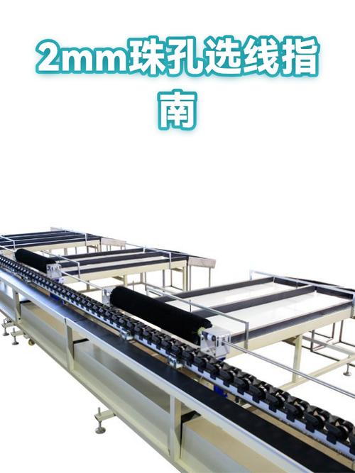 女士戴圆珠还是老型珠