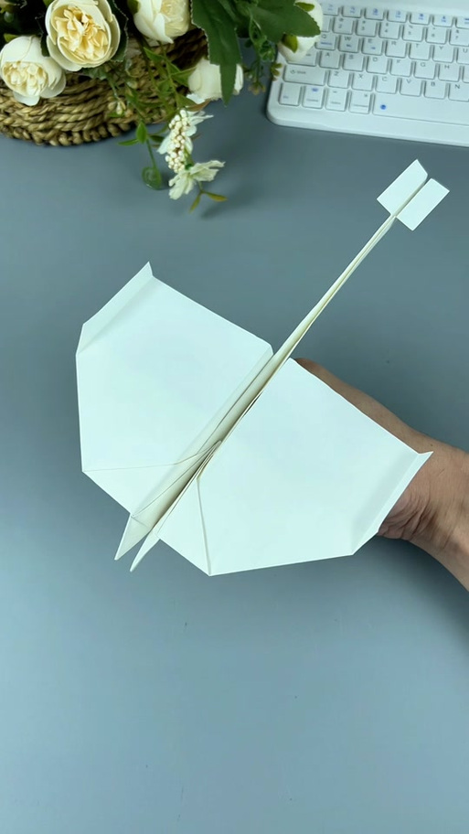 世界四大纸飞机都有哪些