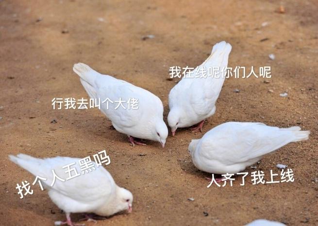 叫别人大佬好吗