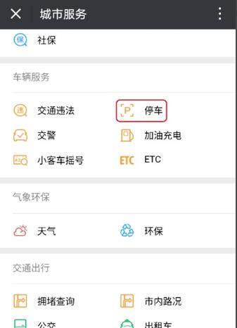 怎么查停车缴费记录