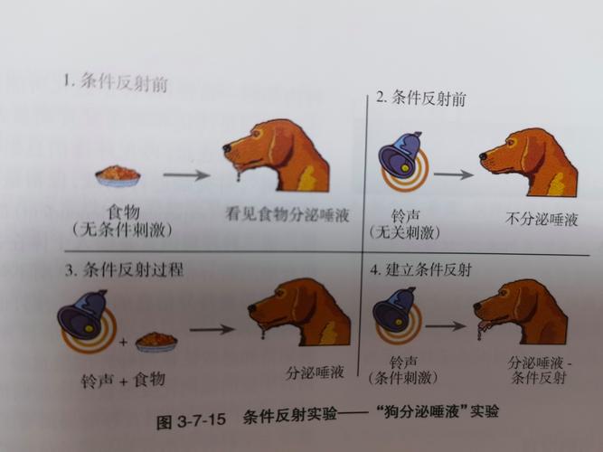 叫一声手机自动答应