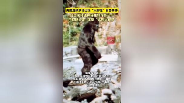 世界上有大脚怪吗