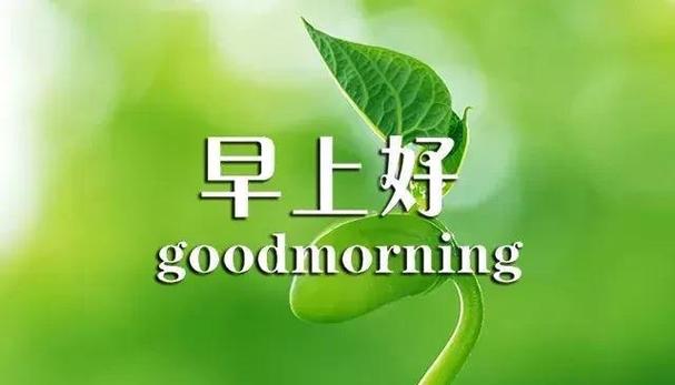 morning的提示截图