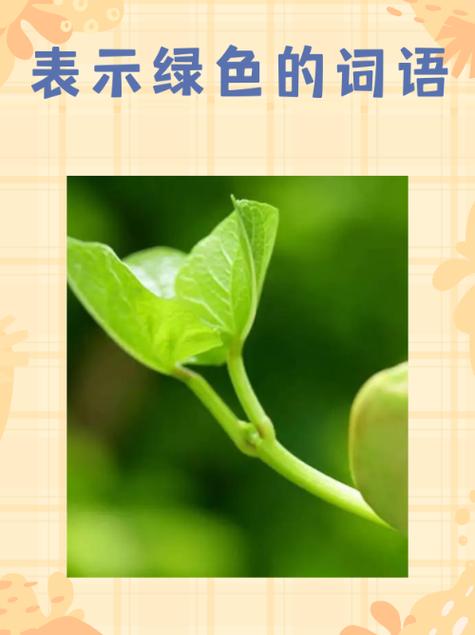 绿色的拼音
