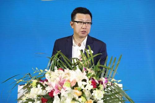 航美传媒集团董事长游戏截图