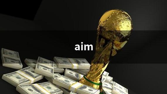 aim中文意思