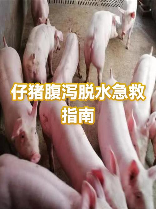 大便是水样喷射,伴有肚子咕咕叫