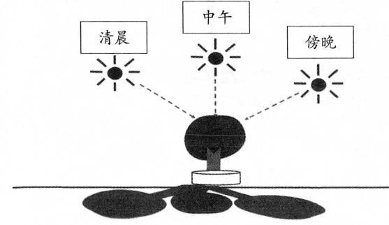 影子的深浅变化图片