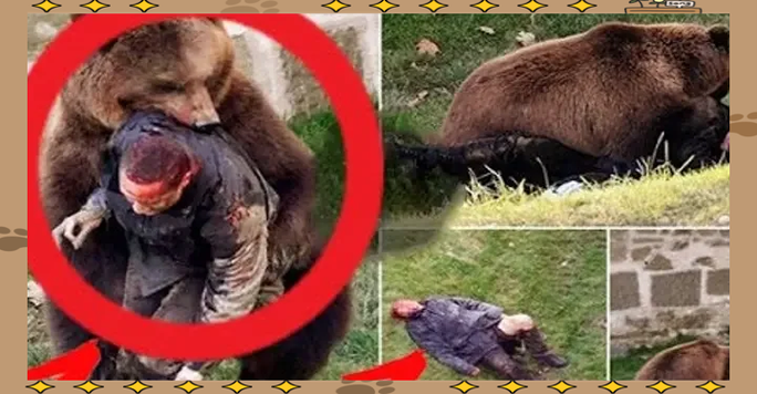 黑熊和棕熊哪个吃人