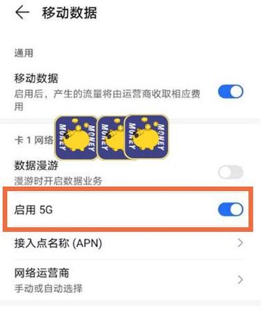 华为手机5g开关怎么不见了游戏截图