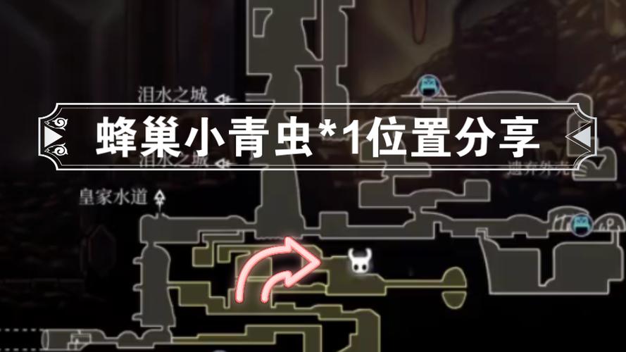 空洞骑士幼虫掉落物品