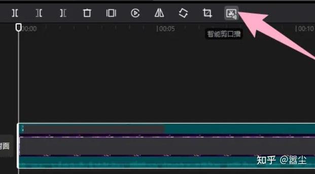 视频去bgm