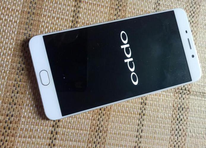 oppo手机一直停留在开机界面游戏截图