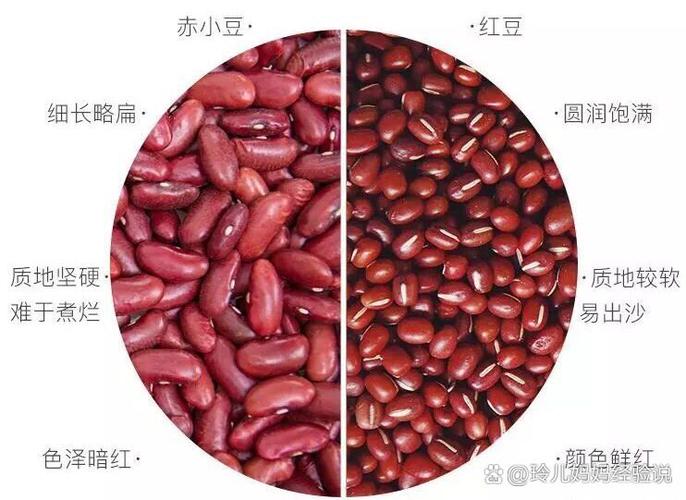 微小豆修复版