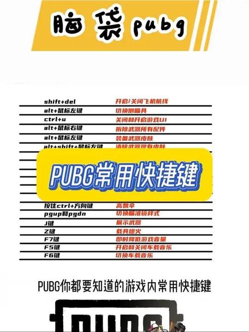 吃鸡丢一半快捷键截图