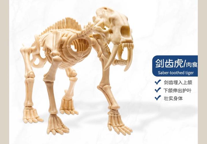 恐龙化石玩具石膏怎么玩