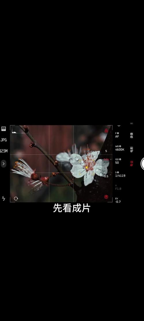 小米手机拍照技巧详解