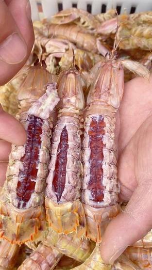 皮皮虾最好用的旧版本