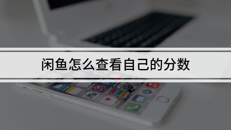 闲鱼看分数的步骤