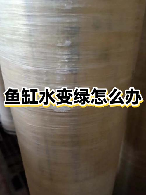 鱼缸水变绿的原因及解决方法