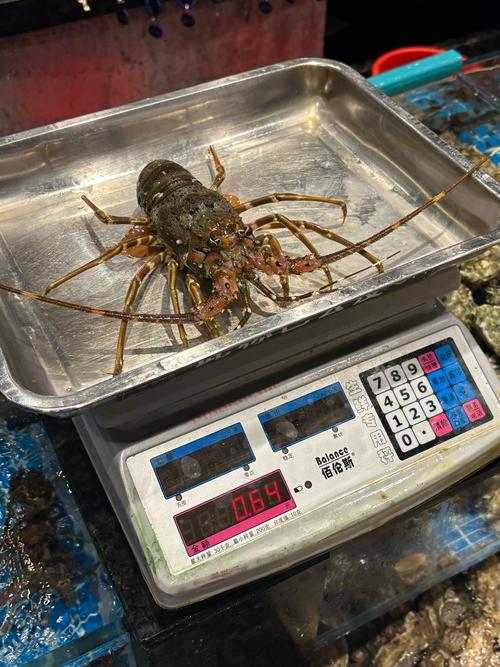 张家港海鲜便宜吗