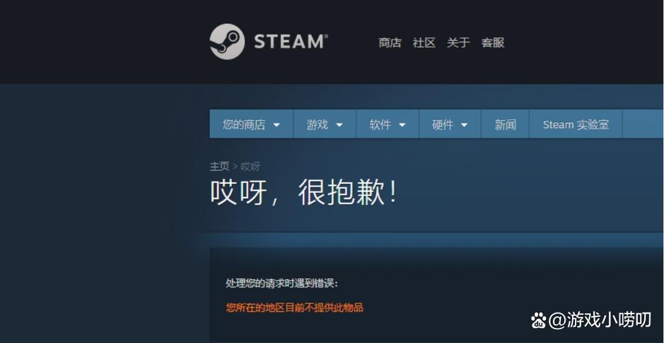 steam错误代码代码怎么办