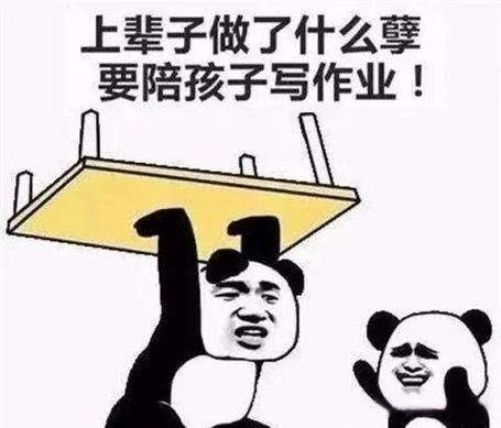 作业量大对小学生的危害