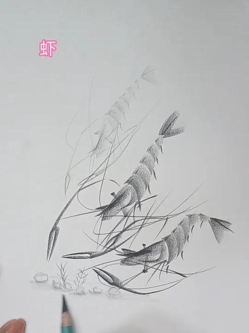 自学炭笔画入门