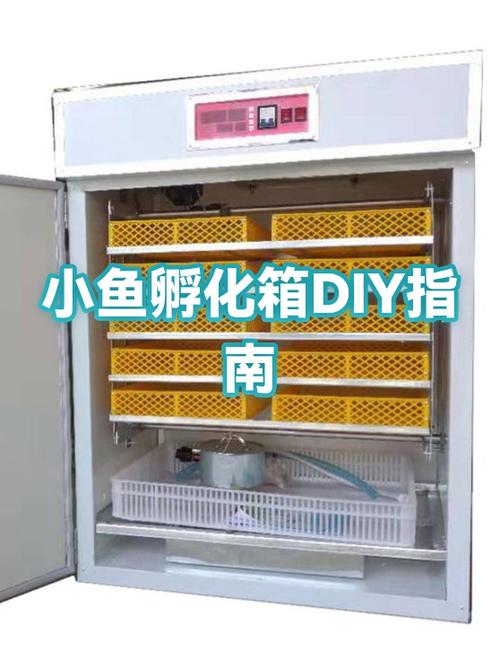 小鱼箱怎么安装
